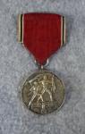 WWII German Anschluss of Austria Medal