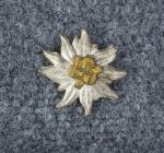 German SA NSKK Hochland Edelweiss Insignia