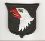 Error 101st Airborne Division Patch 