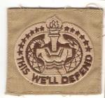 Desert DCU Subdued Drill Instructor Badge Patch