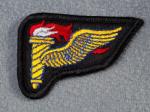 Army Pathfinder Badge