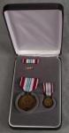 Defense Meritorious Service Medal Set Cased