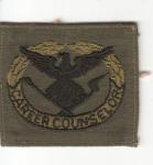 Patch Badge Career Counselor Subdued 
