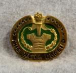 US Army Drill Instructor Badge 