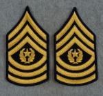 US Army Command Sergeant Major Rank Male