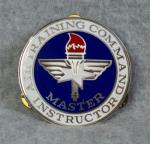 Air Training Command Instructor Metal Badge