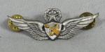 US Army Master Astronaut Wing