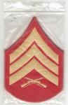 USMC Marine Sergeant Rank Pair Female New