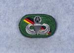 Oval 10th Special Forces Group Master Jump Wing