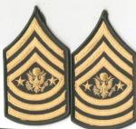 Command Sergeant Major of the Army Rank Female