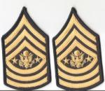 Command Sergeant Major of the Army Rank Female