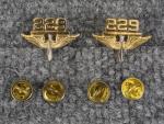US Army 229th Aviation Regiment Officer's Insignia