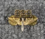 US Army 229th Aviation Regiment Officer's Insignia