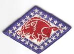 US Army Arkansas National Guard Patch
