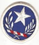 US Army Texas National Guard Patch