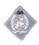 JSA Patch Insignia Joint Security Area