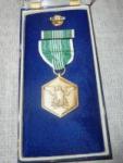 WWII Military Merit Medal WAC Named