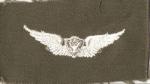 US Army Aircrew Wing Patch