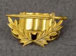 US Army Staff Specialist USAR Insignia Pin
