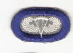 Army Airborne Infantry 502nd PIR Oval 1950s