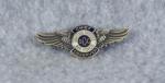 GOC Air Force Observer Pin Insignia Wing