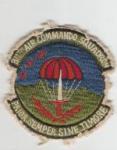 Patch 311th Air Commando Squadron 