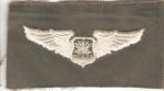 USAF Air Force Navigator Wing Cloth Patch