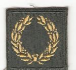 Army Meritorious Unit Award