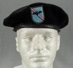 USAF Beret 374th Tactical Airlift Wing Blind Bats