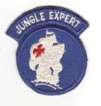 Vietnam Era Jungle Expert Patch