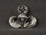 Master Paratrooper Jump Wing Foreign Made