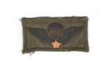Vietnamese Paratrooper Jump Wing Subdued Cloth