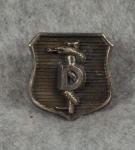 USAF Dental Corps Badge Insignia