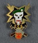 SOG CCS Special Forces Pin