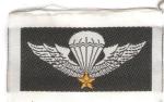 Patch ARVN Paratrooper Jump Wing Theater Made