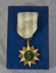 Vietnam Campaign Medal Theater Made