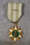 Vietnam Campaign Medal Theater Made