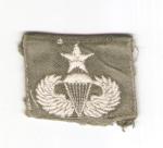 Senior Paratrooper Jump Wing Badge Vietnam Era