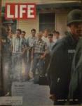 Life Magazine August 20 1965 Draft