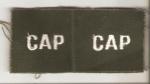 Civil Air Patrol CAP Collar Patches Pair