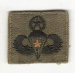 Master Combat Jump Airborne Wing Patch