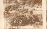 WWI Postcard Dead Soldiers at Cantigny
