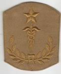 WWI Medical Master Hospital Sergeant Rank Chevron