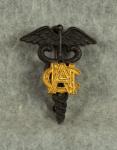 WWI Army Nurse Corps ANC Collar Pin Insignia 