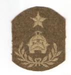 WWI Master Tank Corps Rank Rate Patch