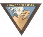 WWII Red Cross I Have Seen Naples Decal