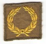 WWII Meritorious Unit Award Variation