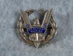 WWII Sterling Merchant Marine Badge