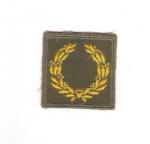 WWII Meritorious Unit Award Theater Made Variation
