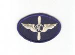 WWII era CAP Civil Air Patrol Cadet Patch